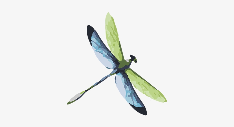 Home - Obraz Na Zeď, Dřevěný Dragon-fly 29x29, transparent png download