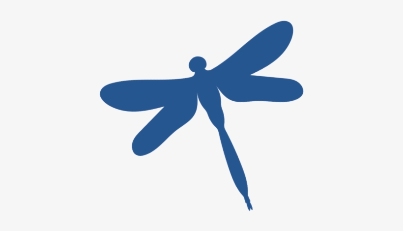 Dragonfly, transparent png download