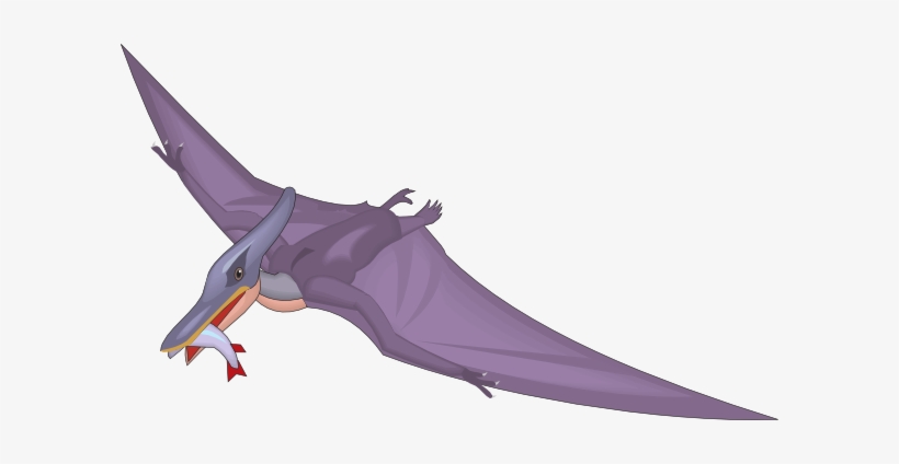 How To Set Use Pteranodon With A Fish In Mouth Clipart - Pteranodon Clipart, transparent png download