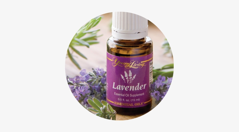 They Own Their Own Farms And Distill Without Using - Lavender Essential Oil By Young Living - 5ml, transparent png download