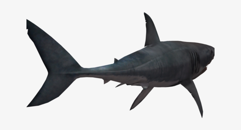 Great White Shark Clipart Shark Tank - Shark Transparent Png, transparent png download