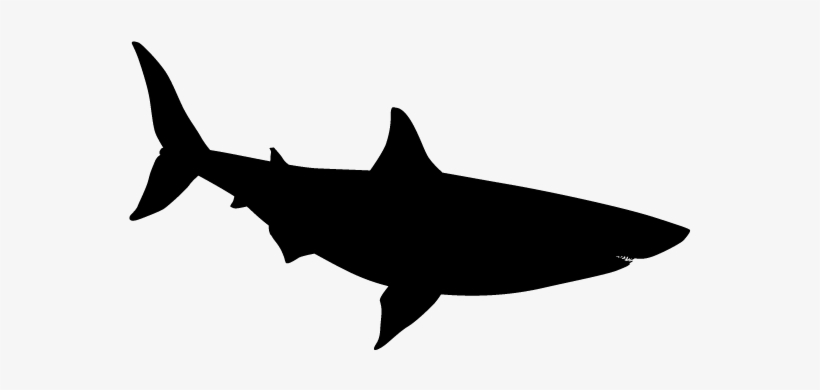 View All Images-1 - Diver And Shark Phone Case - Iphone 6 Plus, transparent png download