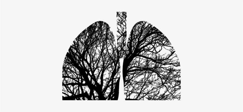 Hack Aging With The Study Of Proteomics Long Long Life - Cafepress Samsung Galaxy S8 Plus Case, transparent png download