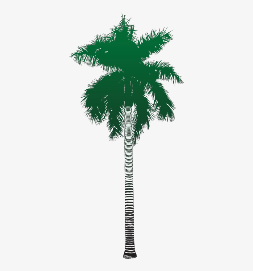 Previous - Attalea Speciosa, transparent png download