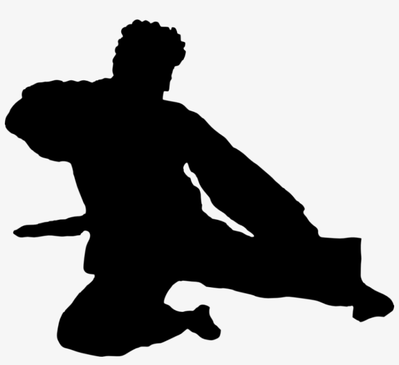 Free Png Karate Silhouette Png Images Transparent - Karate Silhouette Png, transparent png download