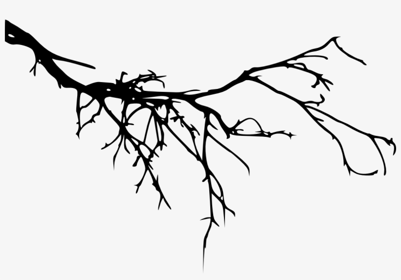 Tree Branch Silhouette Png Download - Branch Silhouette, transparent png download