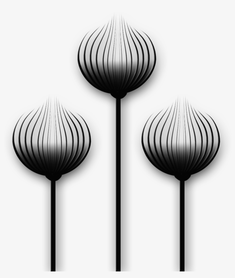 Pictures - Flower Petal Shape Silhouette Png, transparent png download