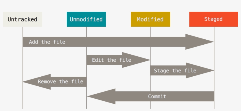 Enter Image Description Here - Git 3 Stages, transparent png download
