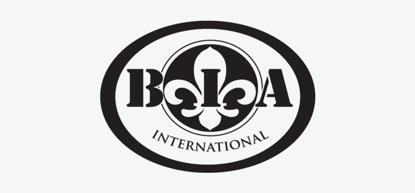 B - I - A - Cordon Bleu Customer References For Symantec - International Year Of Sustainable Energy, transparent png download