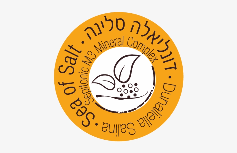 Dunaliella-heb - Circle, transparent png download