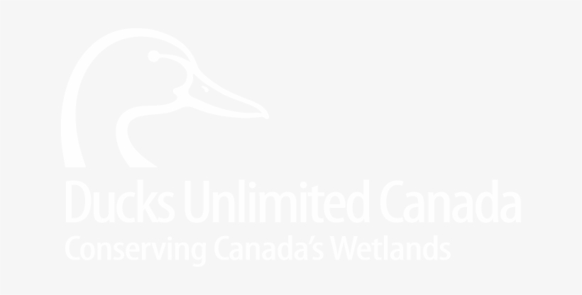 White, N/a, Download - Ducks Unlimited Canada, transparent png download
