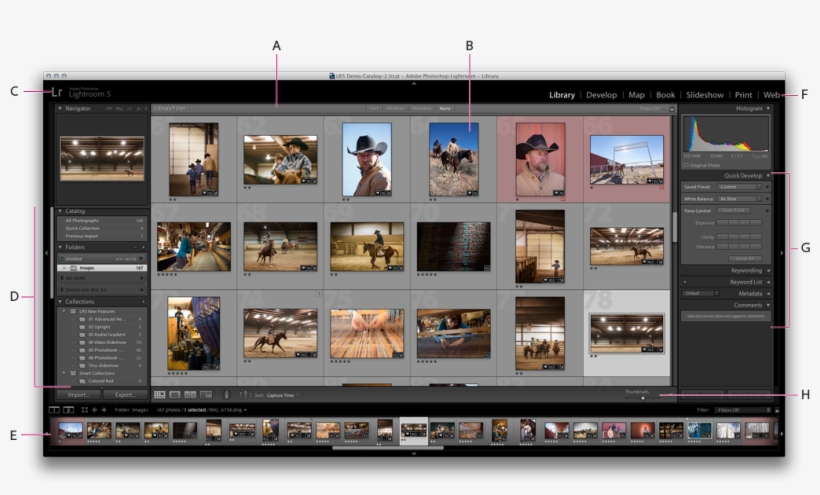 Lightroom Classic Cc Library Module - Library System Interface, transparent png download