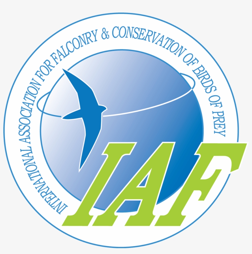 International Association For Falconry And Conservation - Iaf Falconry, transparent png download