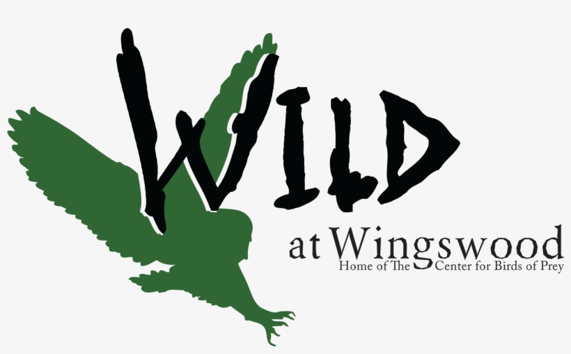 2011 Birds Of Prey Center 20th Celebration - 2011, transparent png download