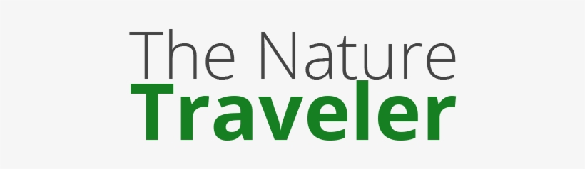 Loading - Vienna Airport Connecting Flights, transparent png download