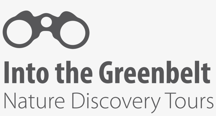 Birds Of Prey And Barnyard Animals Mountsberg Conservation - Friends Of The Greenbelt Foundation, transparent png download