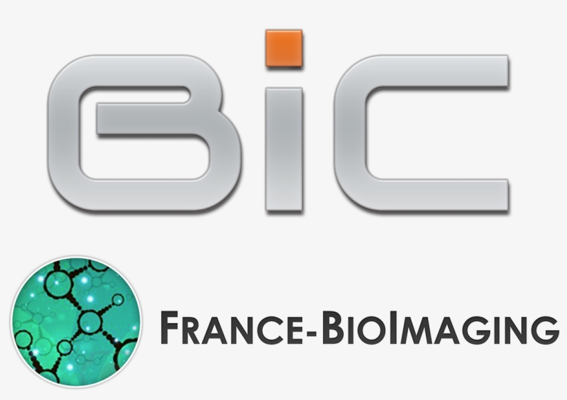 Logo Logo - Bordeaux Imaging Center, transparent png download