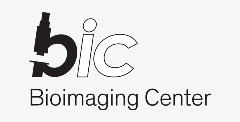 Further Announcements - Line Art, transparent png download