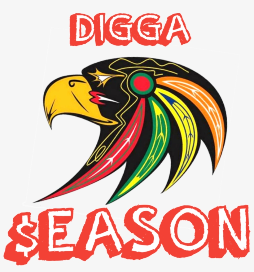 Digitaldigga - Com - Chicago Blackhawks, transparent png download