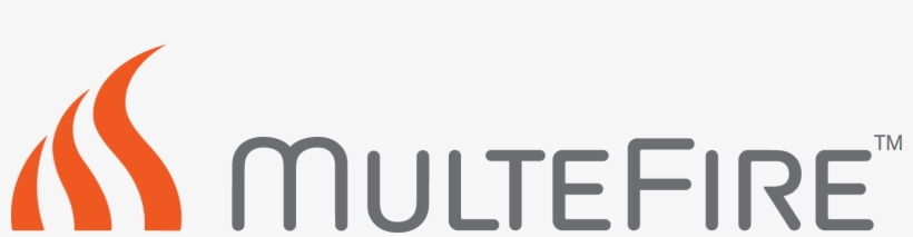 Neville Meijers Enterprise Iot Summit - Color, transparent png download