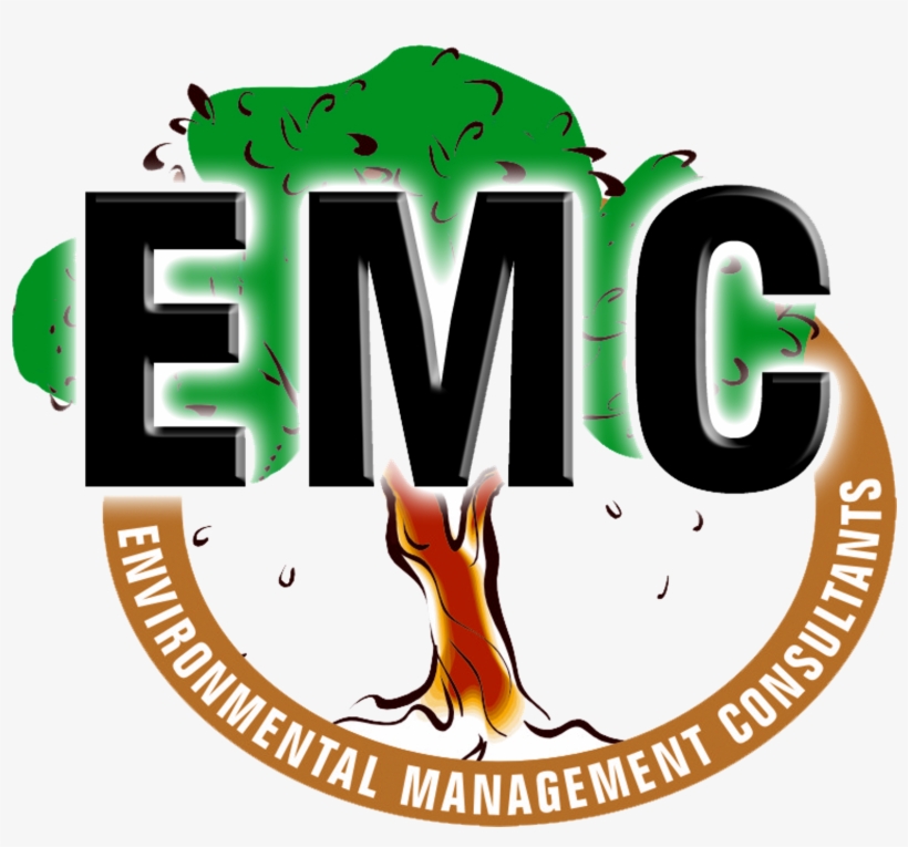 02 Sep - Graphic Design, transparent png download