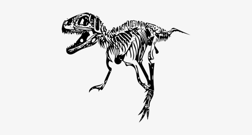 Fosil Dinosaurios Png, transparent png download