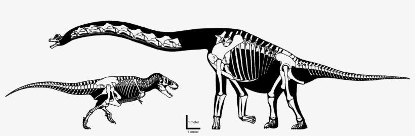 7kztb - Brachiosaurus, transparent png download