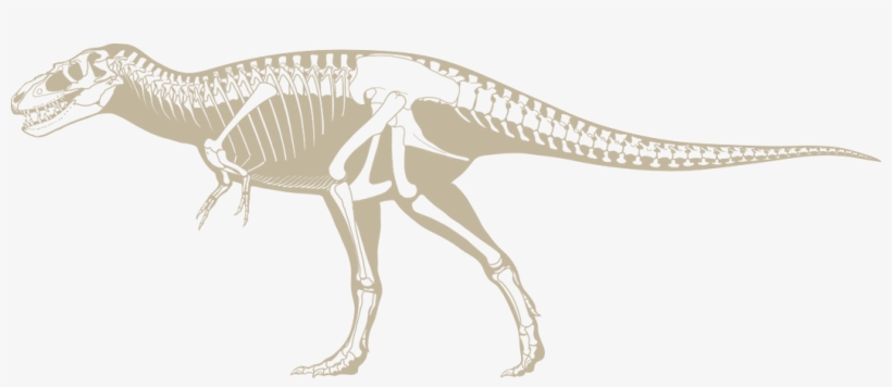 Dino Hunt - Illustration, transparent png download