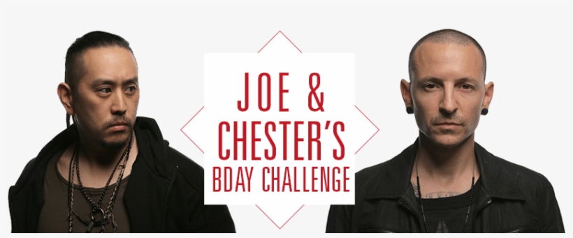 Encyclopedia Of Herbs, Fruits & Vegetables, transparent png download