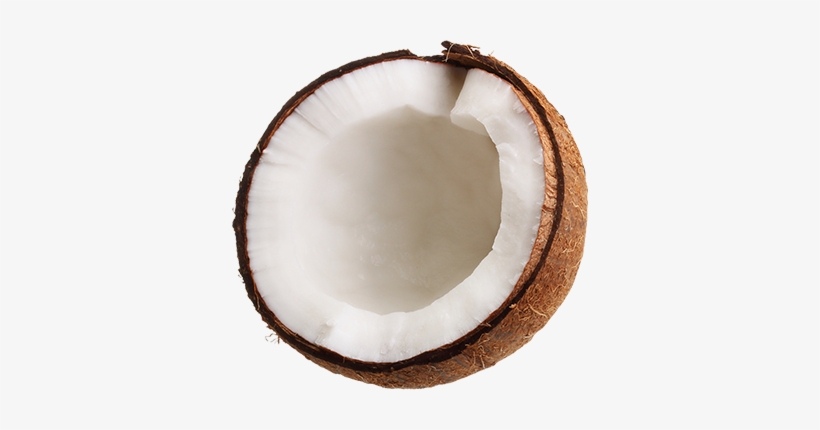 Coconut 350 - Florida Salt Scrubs, Your Official Salt Scrub Jar, transparent png download