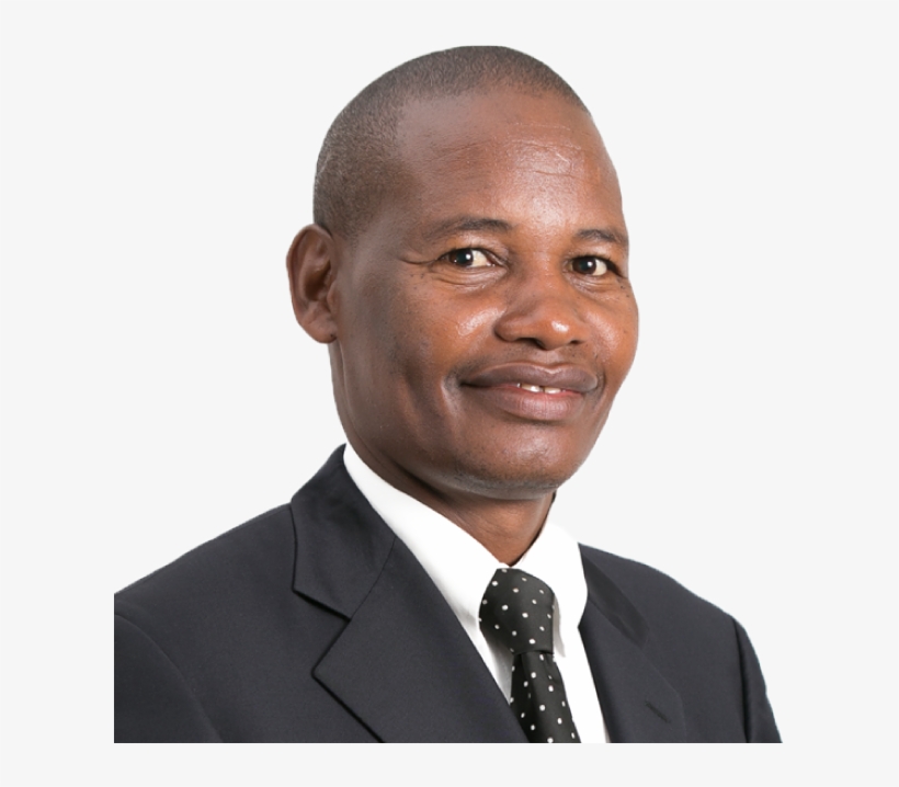 Steinberg, transparent png download