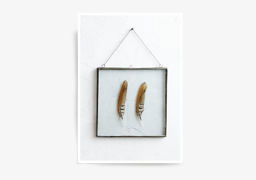 More Views - Roost Iron Edged Hanging Frames Including Feathers, transparent png download