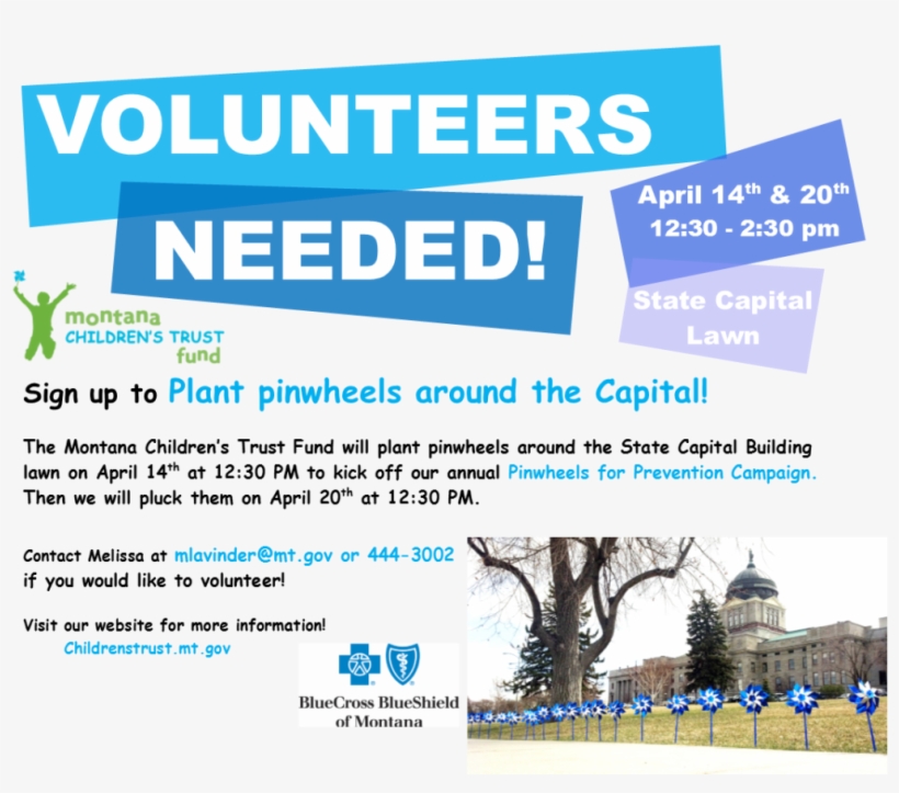 Pinwheel Volunteers Needed - Blue Cross Blue Shield Association, transparent png download