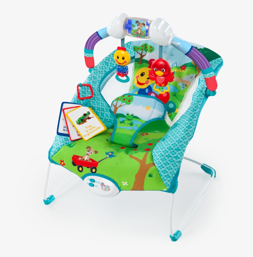 einstein baby bouncer