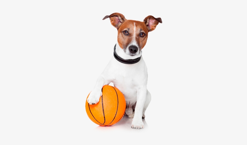 Toys - Color, transparent png download