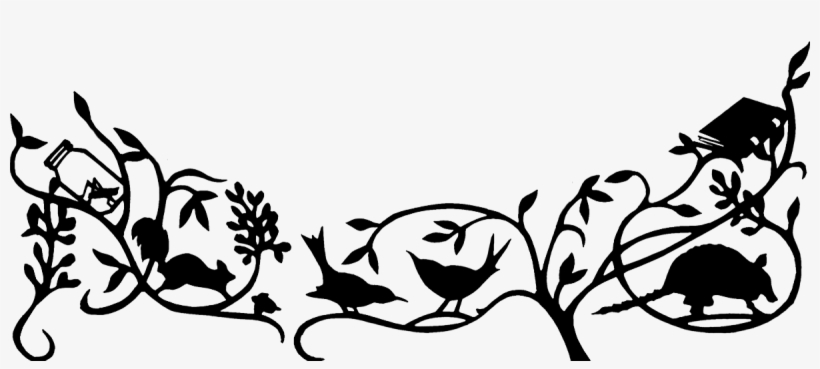 La Evolucion De Calpurnia Tate = The Evolution, transparent png download