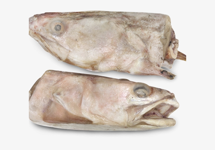 Fish Head - Fish, transparent png download