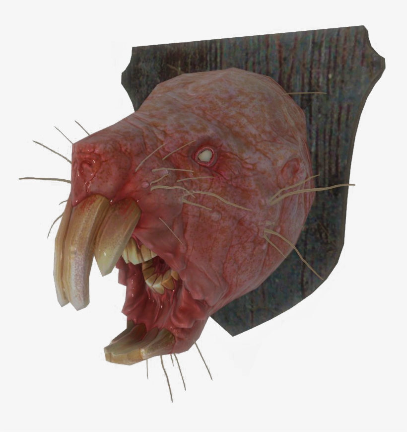 Fo4 Mounted Mole Rat Head - Fallout 4, transparent png download