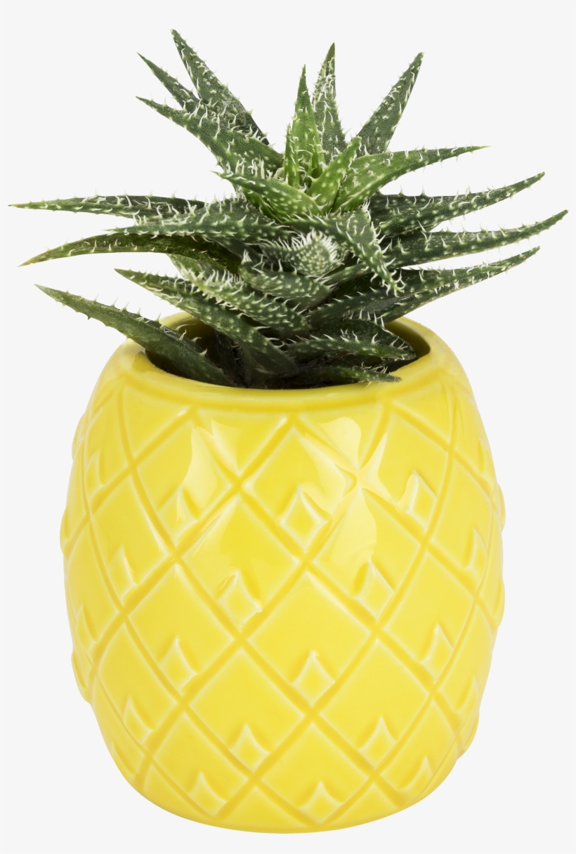 Pineapple Planter By Truezoo - Pineapple Planter, transparent png download