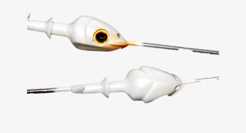 Boss Fish Head - Fishing Float, transparent png download