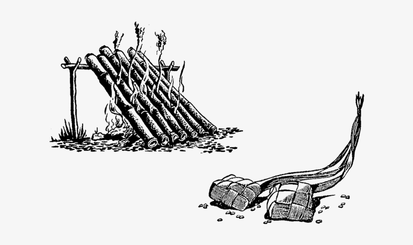 Drawn Jungle Thorn - Jungle Thorn, transparent png download