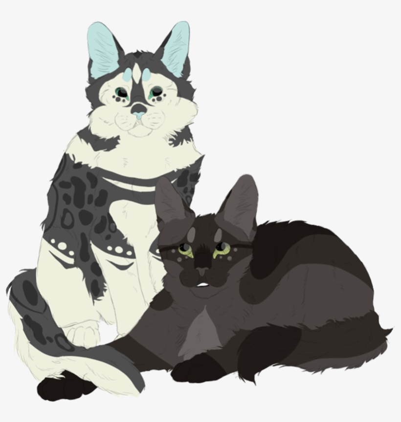 Details - Domestic Short-haired Cat, transparent png download