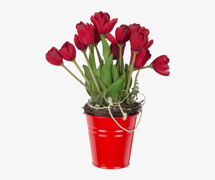 Red Tulips In Bucket - Flowerpot, transparent png download