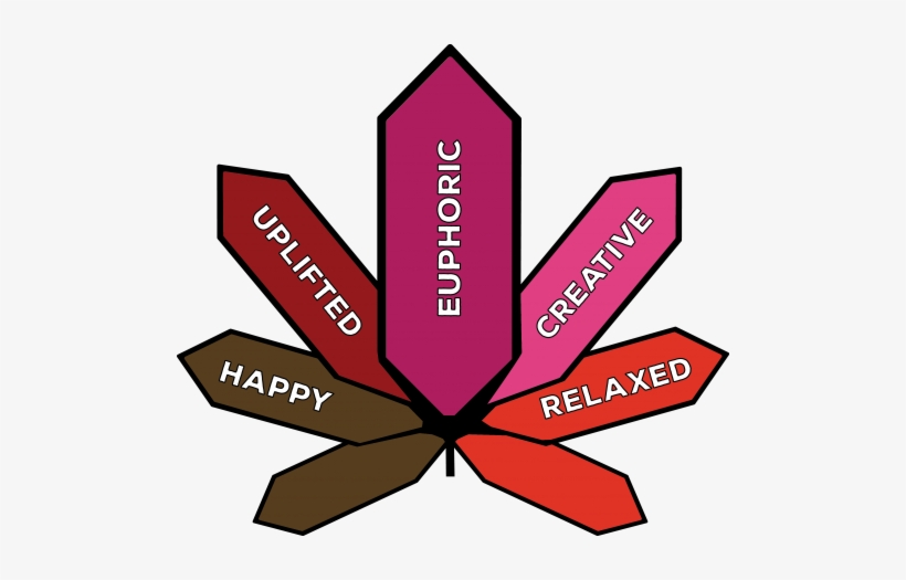 Genetics - Graphic Design, transparent png download