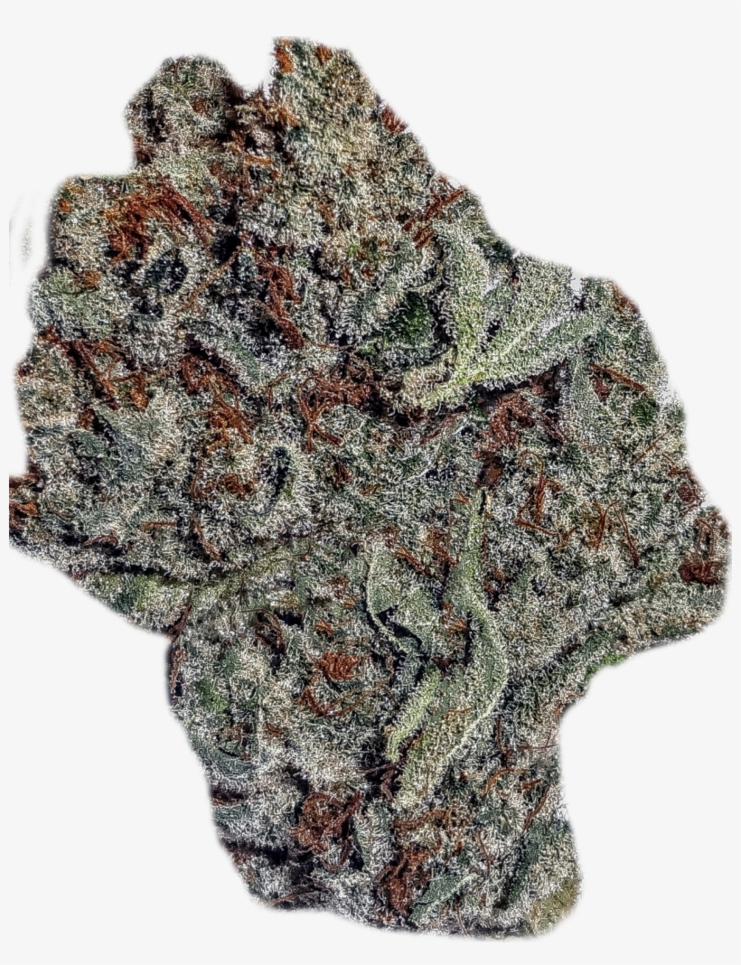 White Fire, Og - Steemit, transparent png download