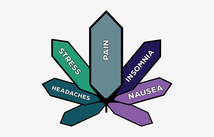 Genetics, transparent png download