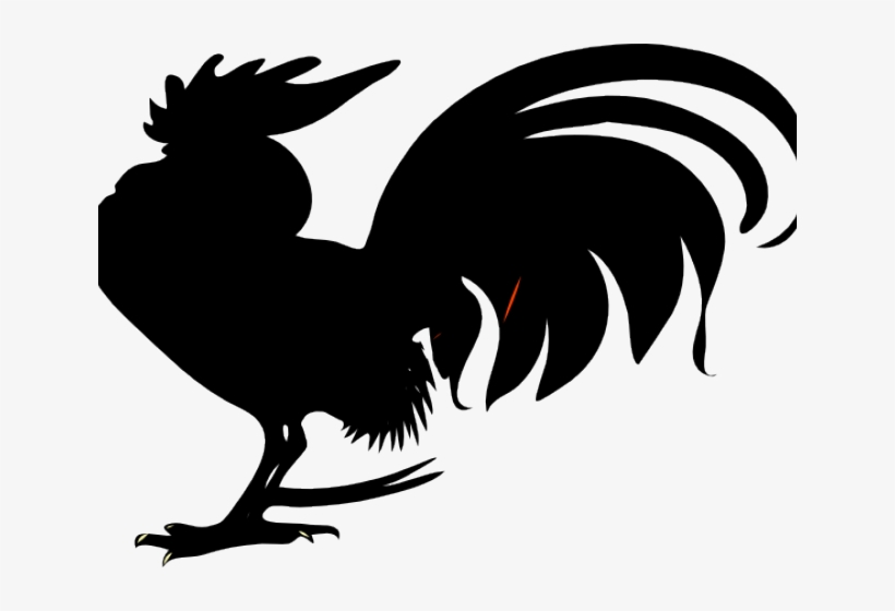 Tail Clipart Chicken - Rooster Clip Art, transparent png download