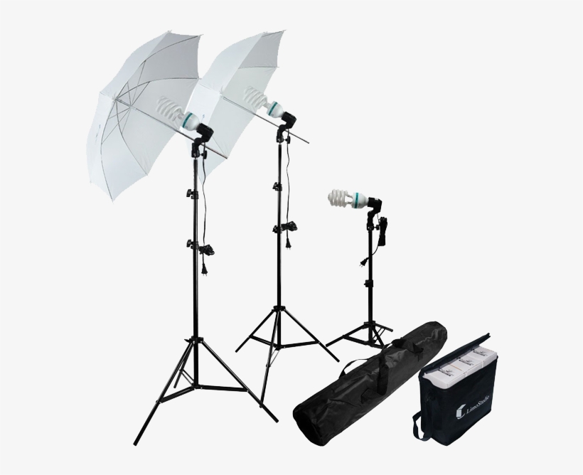 Limostudio-photography Photo Portrait Studio 600w Day - Photography Photo Portrait Studio 600w Day Light Umbrella, transparent png download