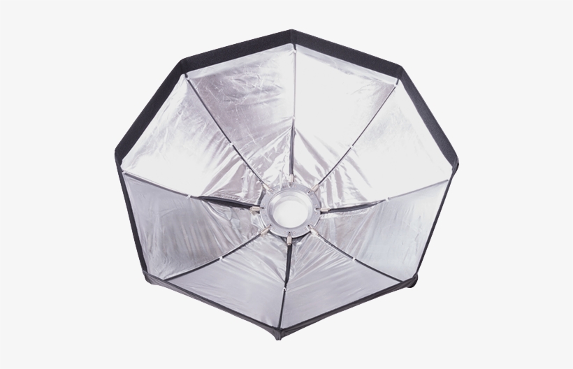 Fotoquantum Studio Flash Kit Fqm-250/250 Plus With - Umbrella, transparent png download