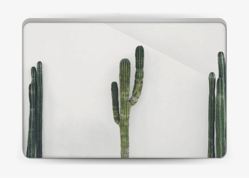 Mexican Cactus - Macbook Pro 13-inch, transparent png download